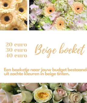 beige boeket